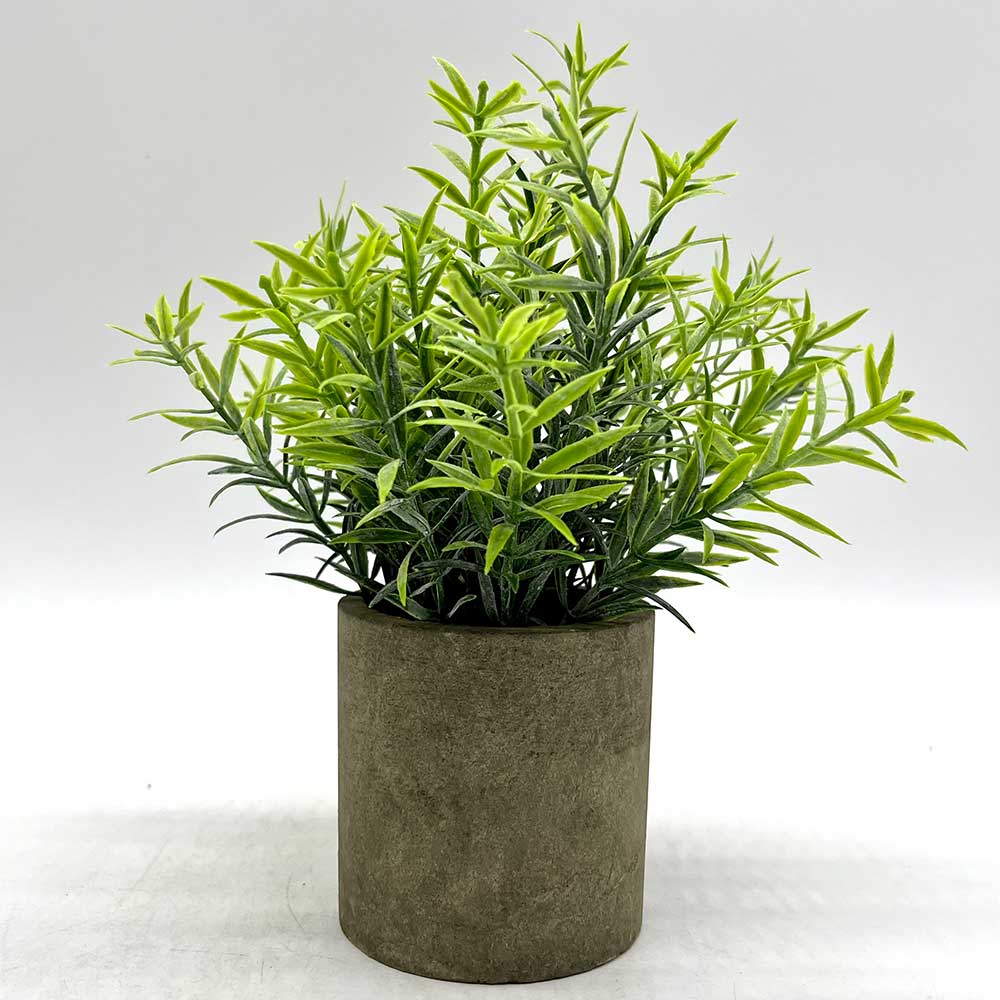 MC2823 Potted Grass