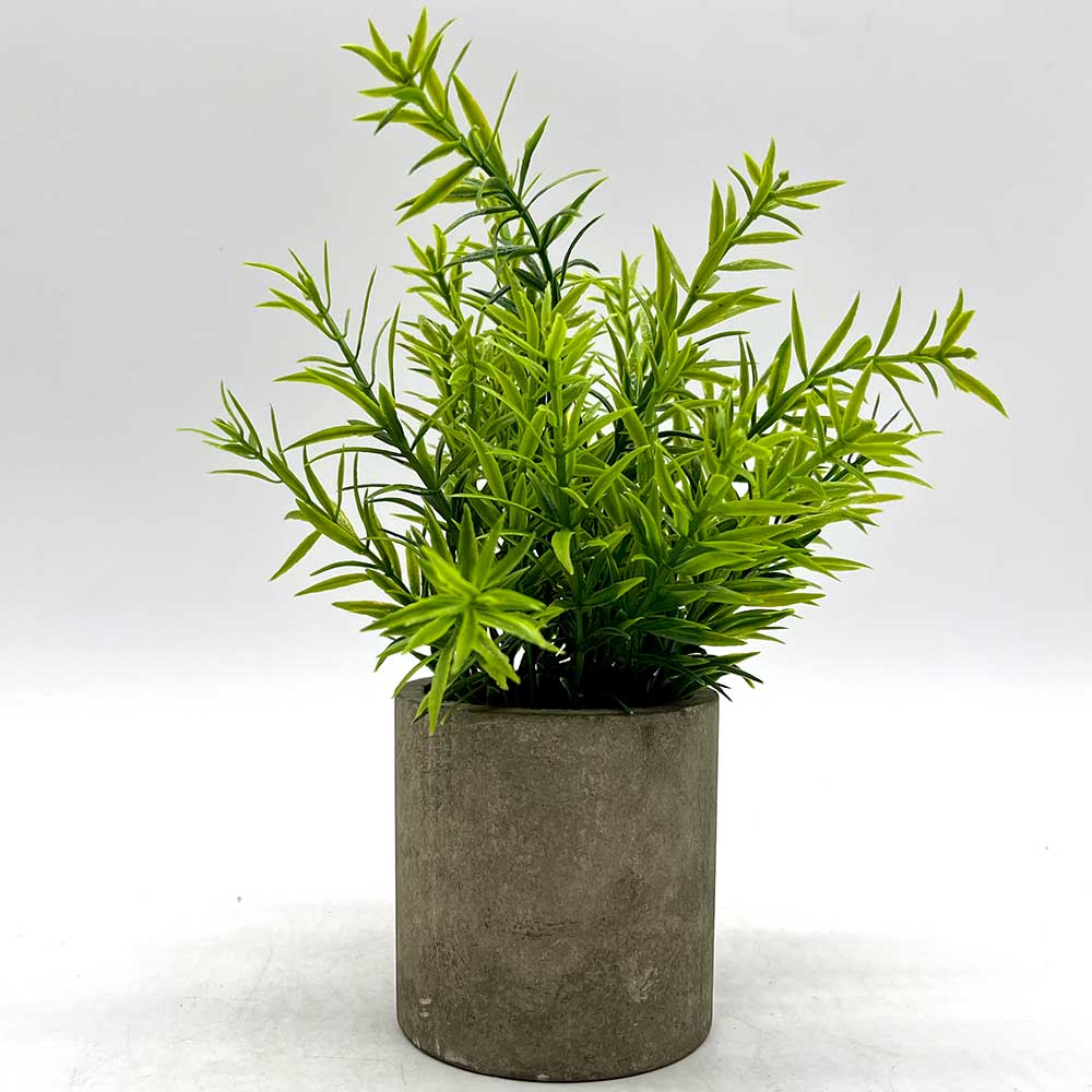 MC3566 Potted Grass