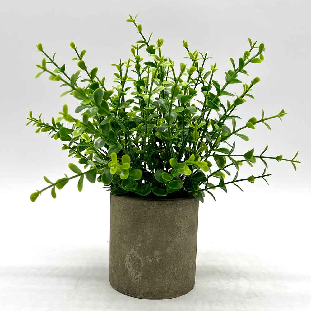 MC3567 Potted Grass