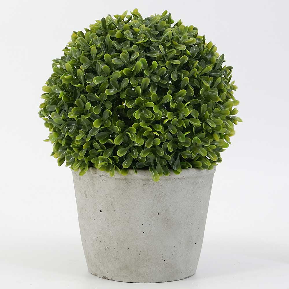 MC19-7657S 10＂H Boxwood