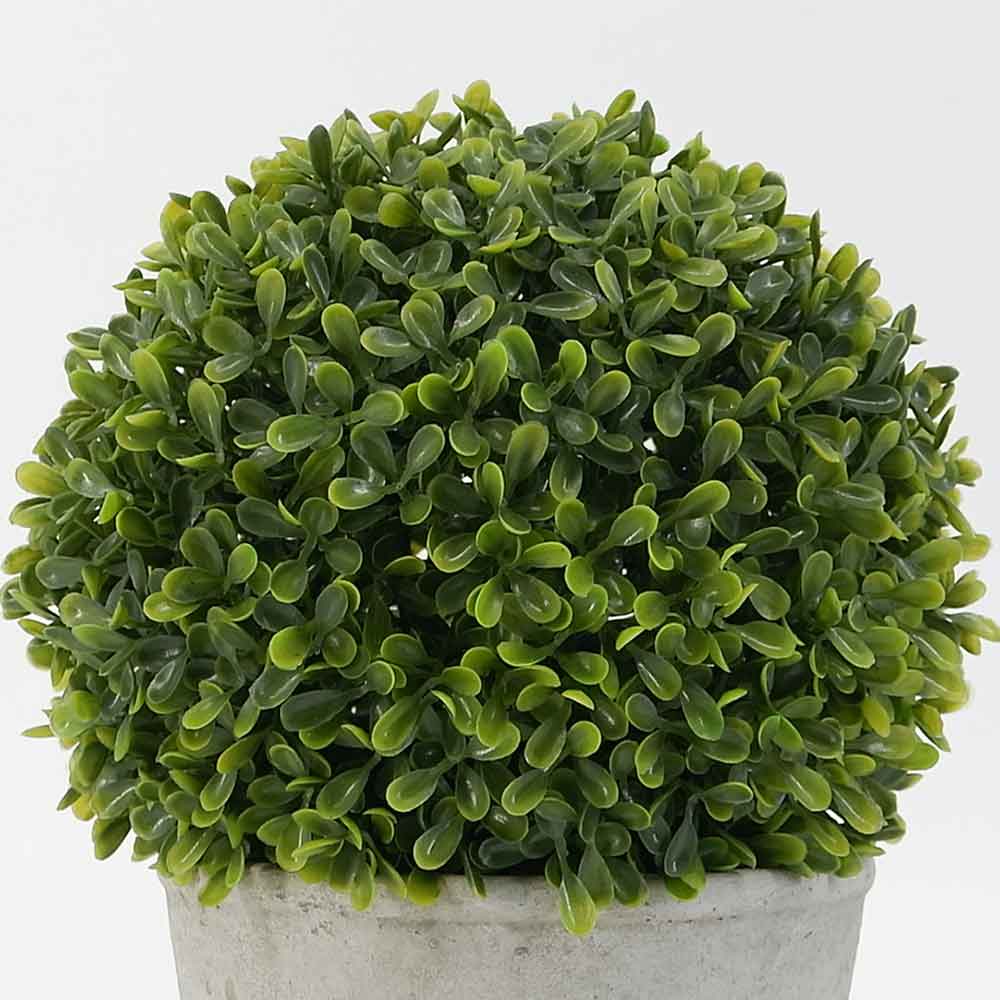 MC19-7657S 10＂H Boxwood