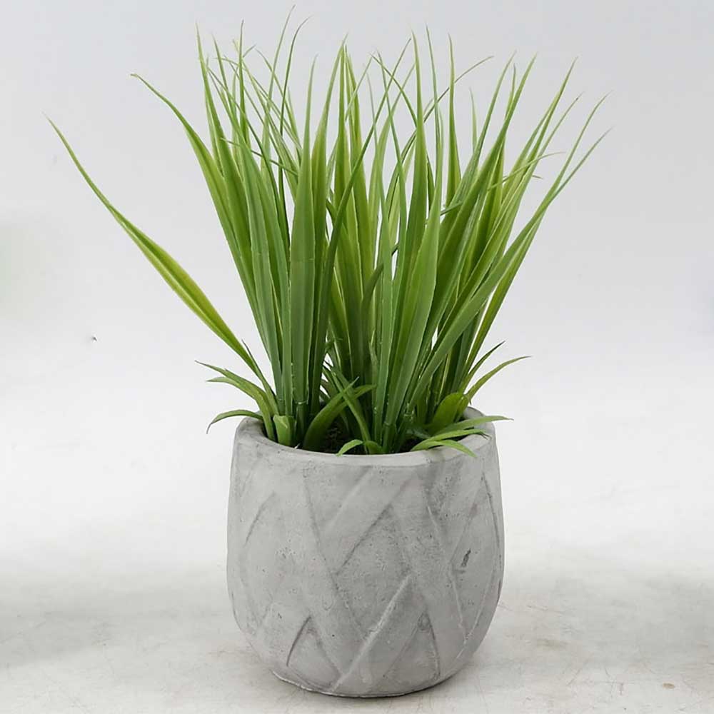 MC19-8068S Grass in pot