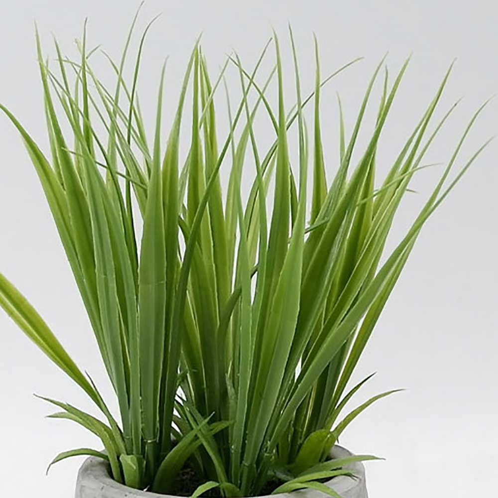 MC19-8068S Grass in pot