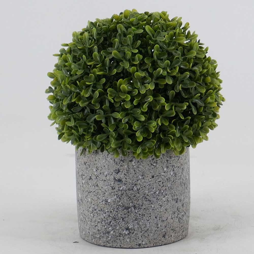 MC19-8245S 10＂H Boxwood