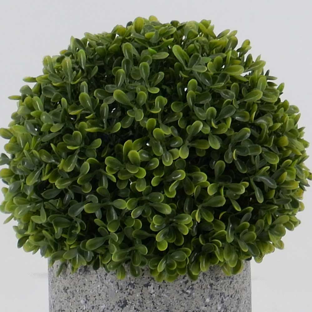 MC19-8245S 10＂H Boxwood