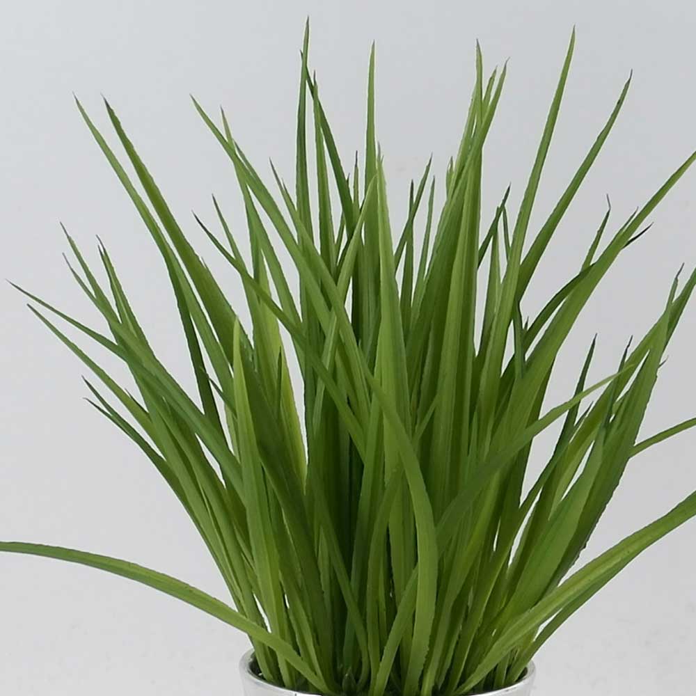 MC21-10999P 14.5＂H Grass