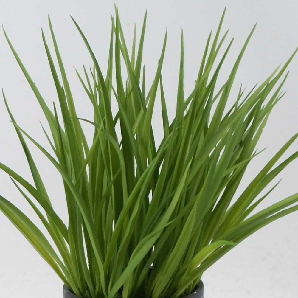 MC21-11038P 14＂H Grass