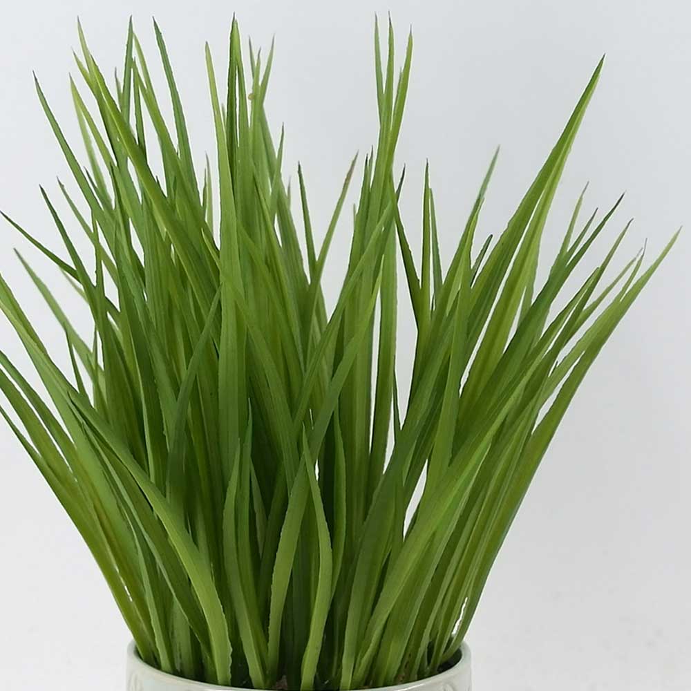 MC21-11184P 14.5＂H Grass