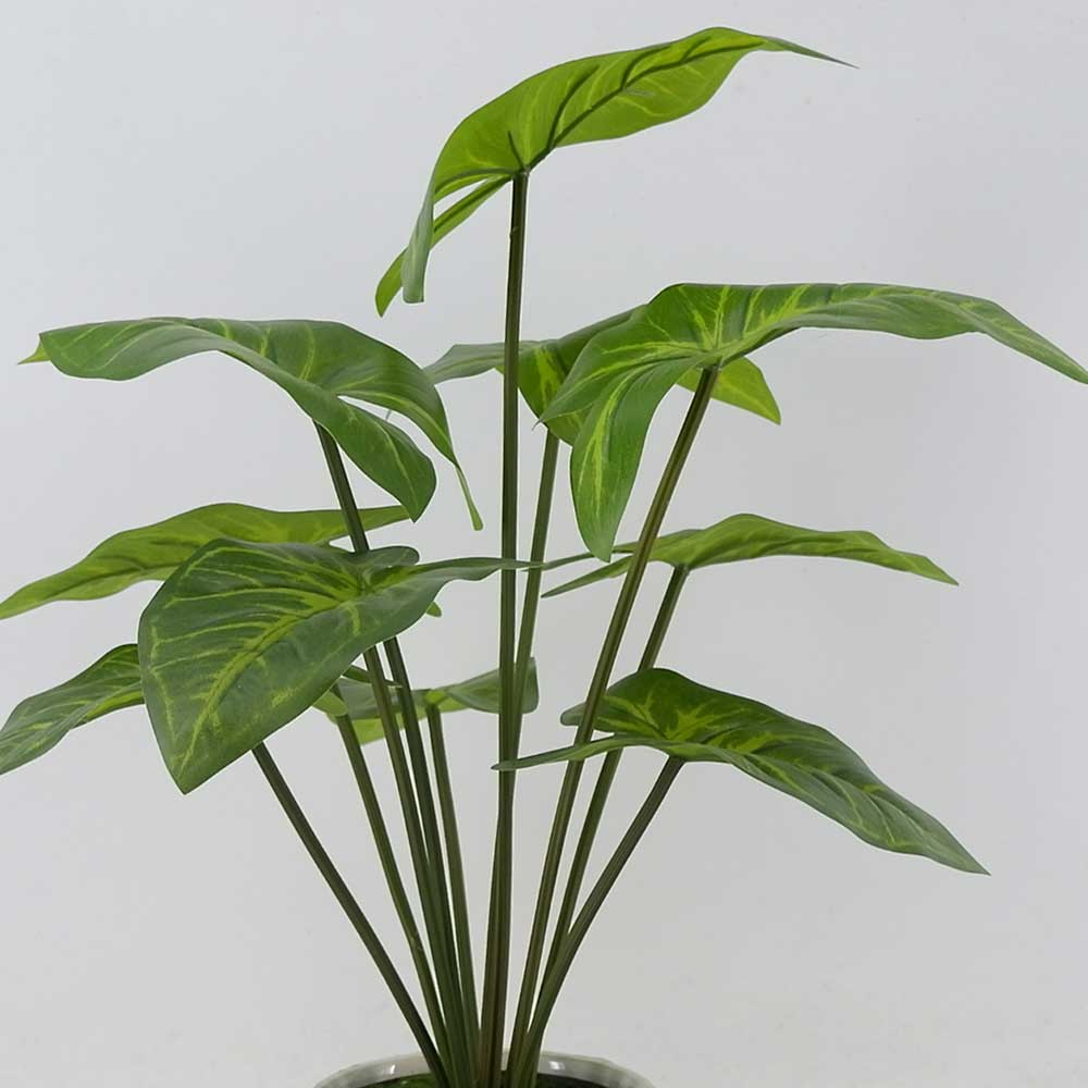 MC21-11004P 20.5＂H Taro leaves