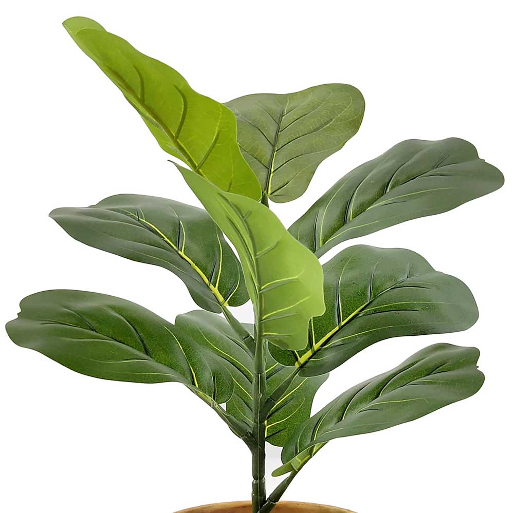 MC-HL0033 Ficus Tree