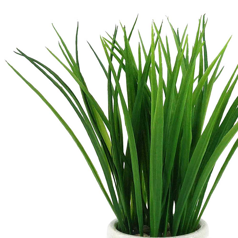 MC-P6621 Grass