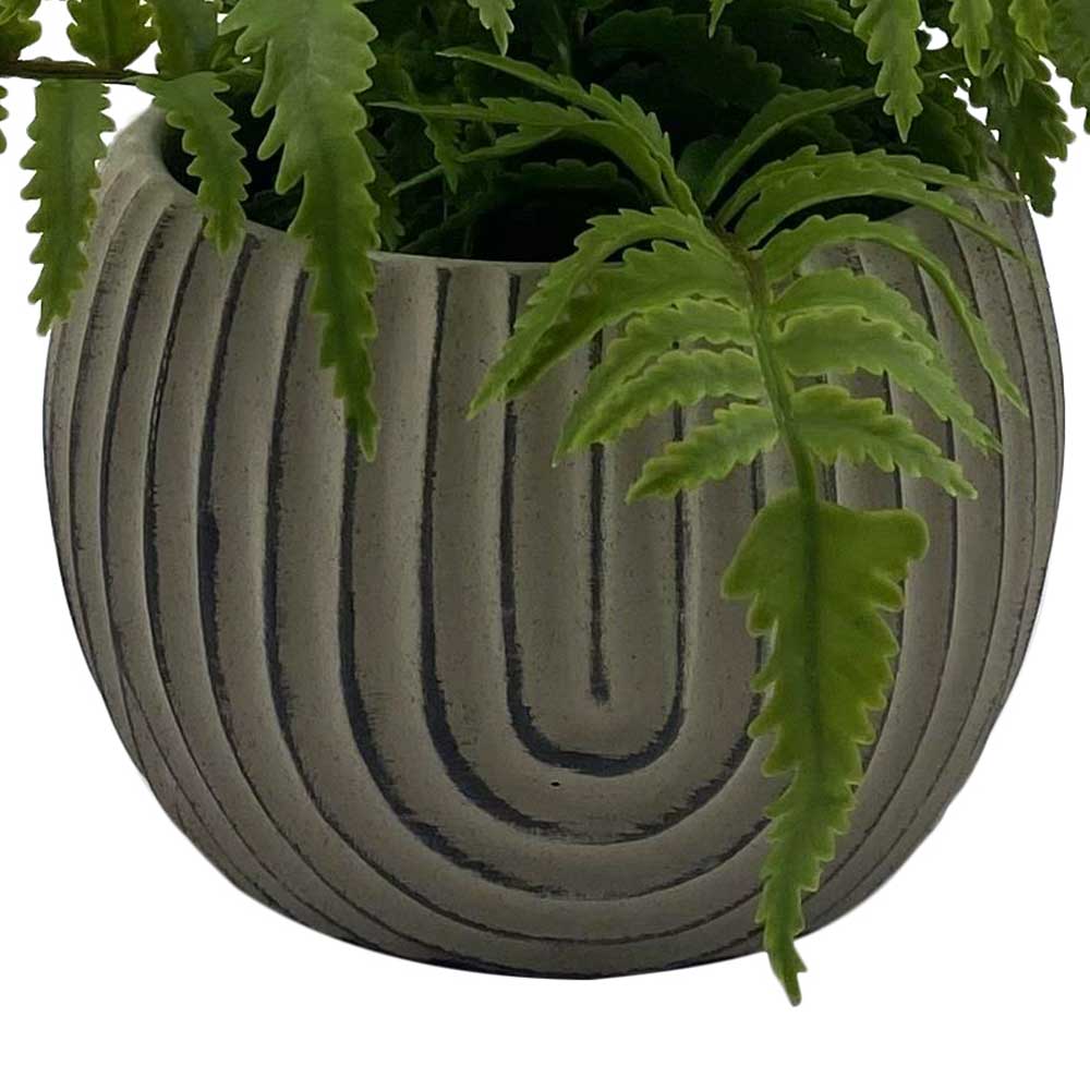 MC-HL1176 Fern