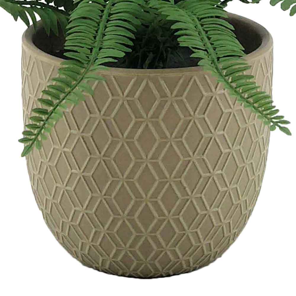 MC-P7536 Fern