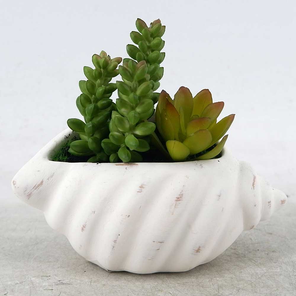 MC22-12793P 5＂H Succulent