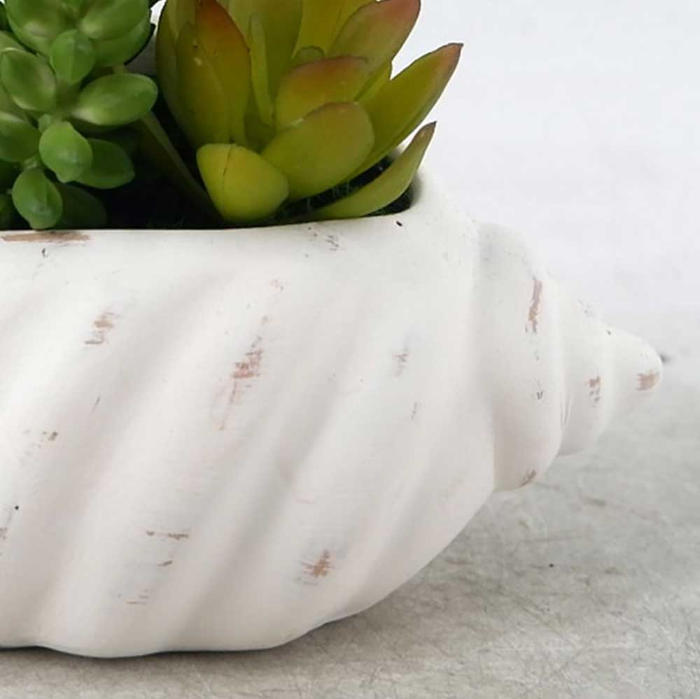 MC22-12793P 5＂H Succulent