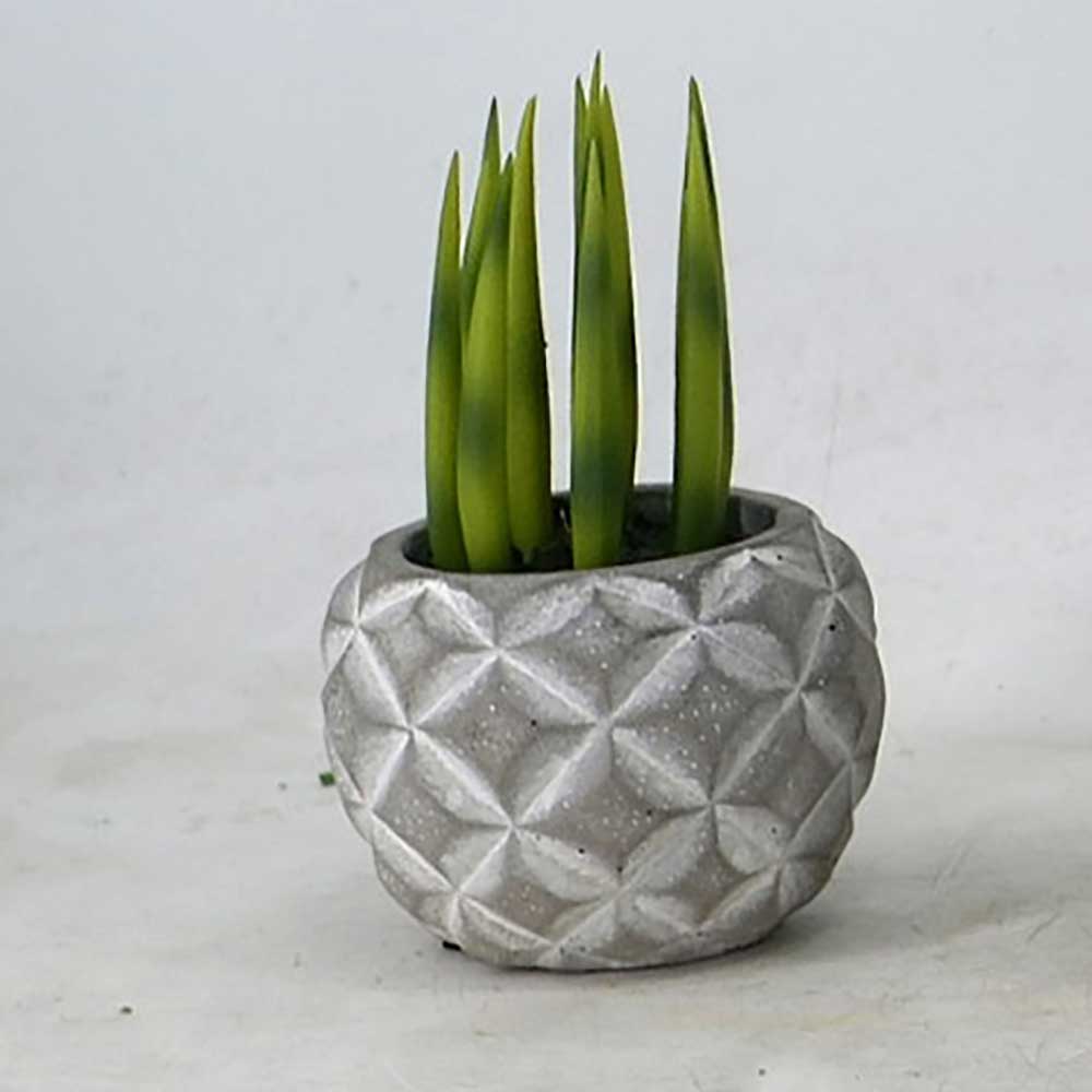 MC22-12782S Succulent Series