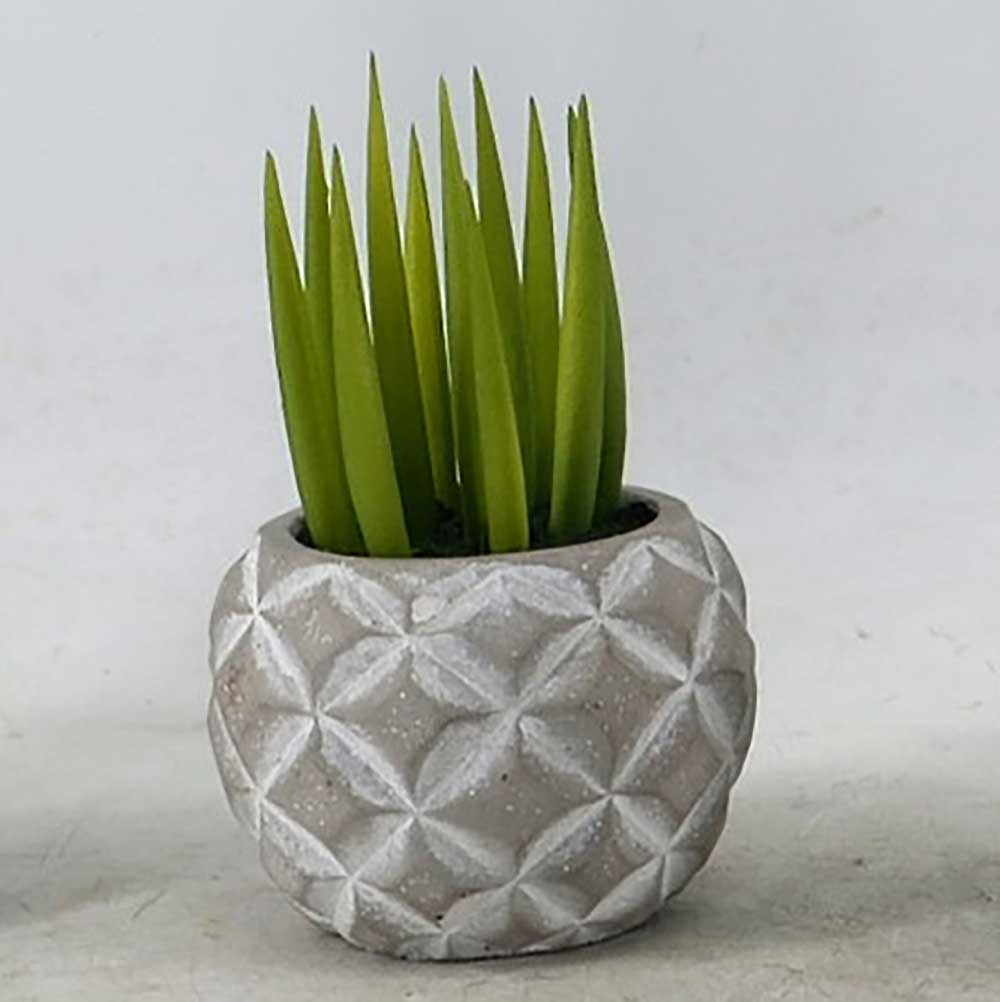 MC22-12782S Succulent Series