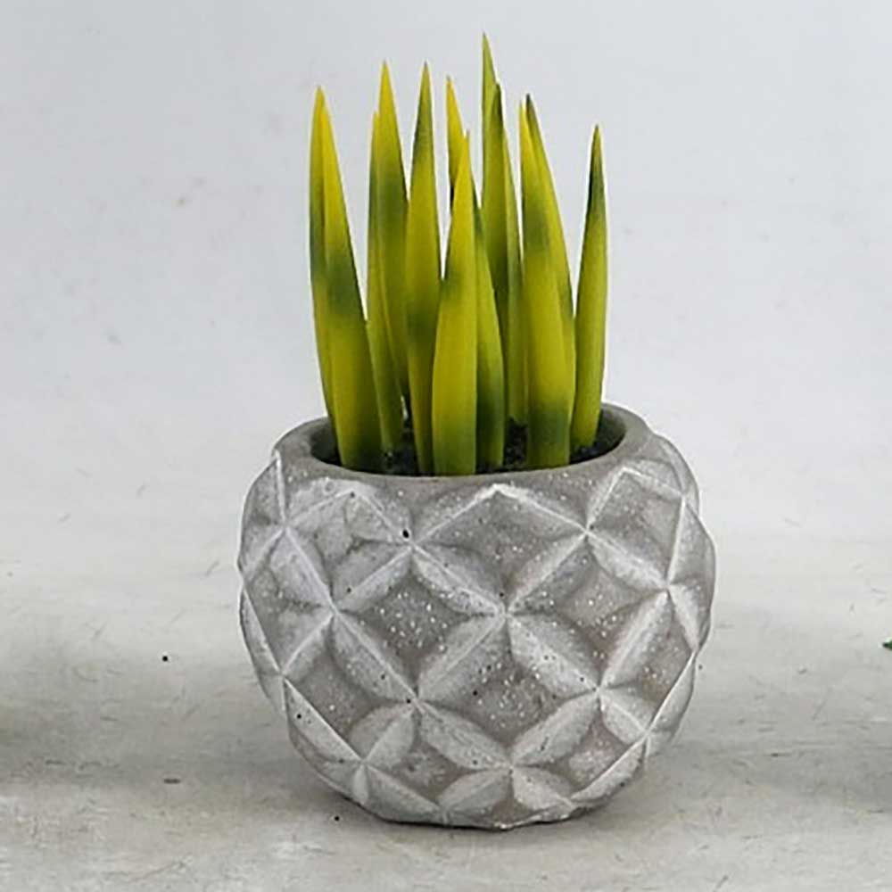 MC22-12782S Succulent Series