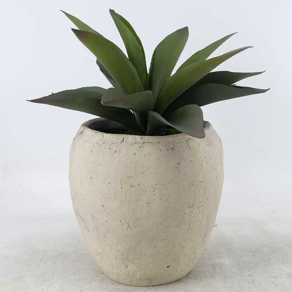 MC22-12794S 11.25＂H Succulent