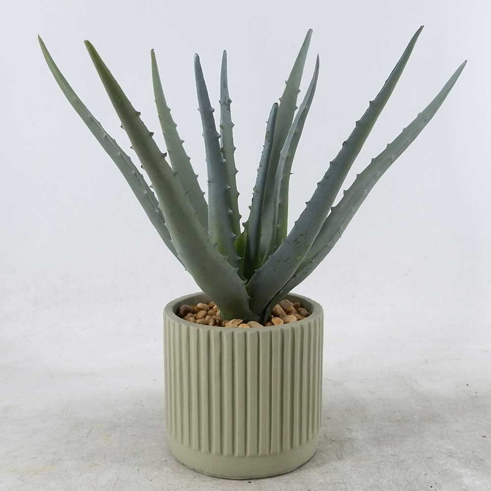 MC22-12797S 16＂H Aloe