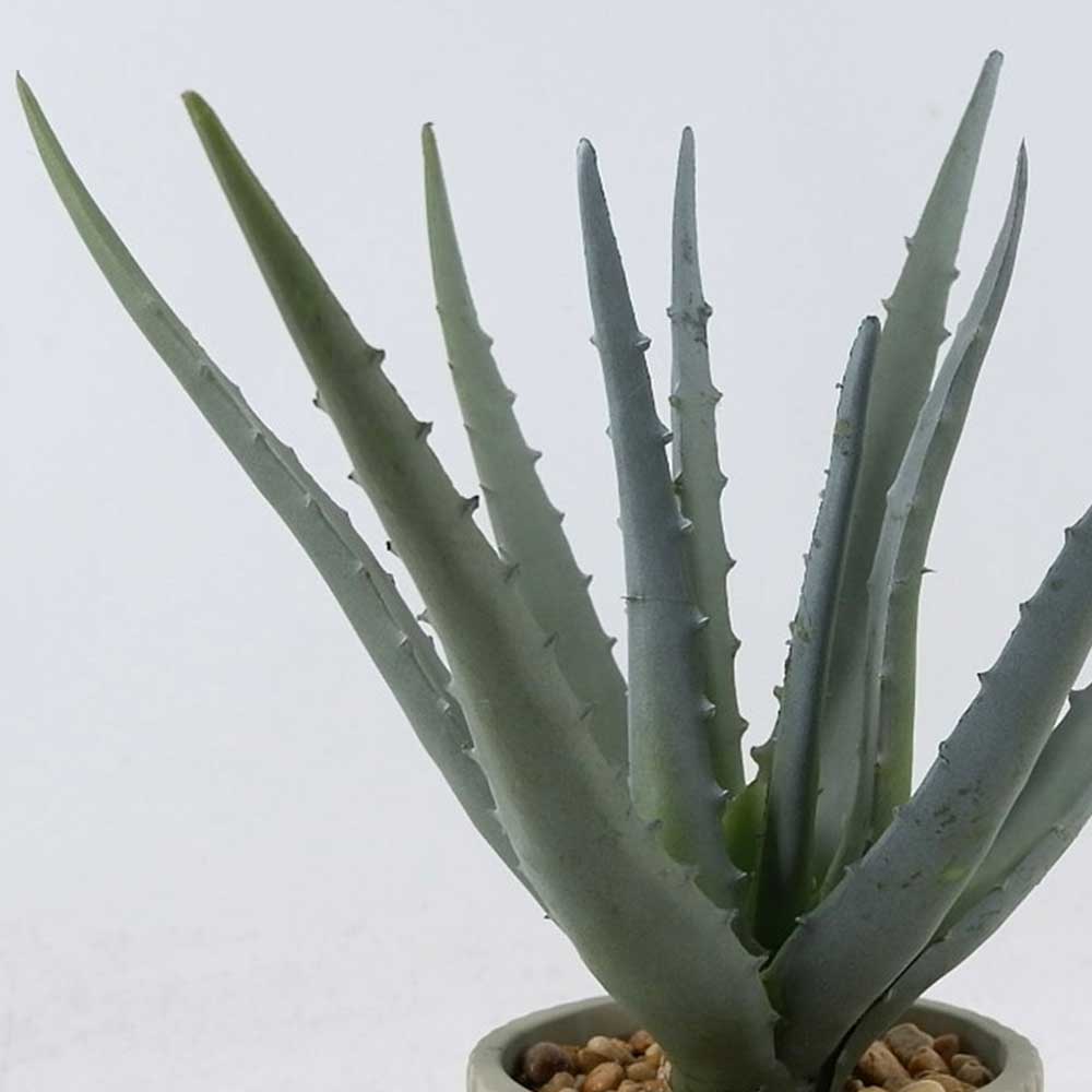 MC22-12797S 16＂H Aloe