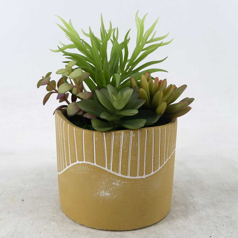 MC22-12800S 8＂H Mixed succulent