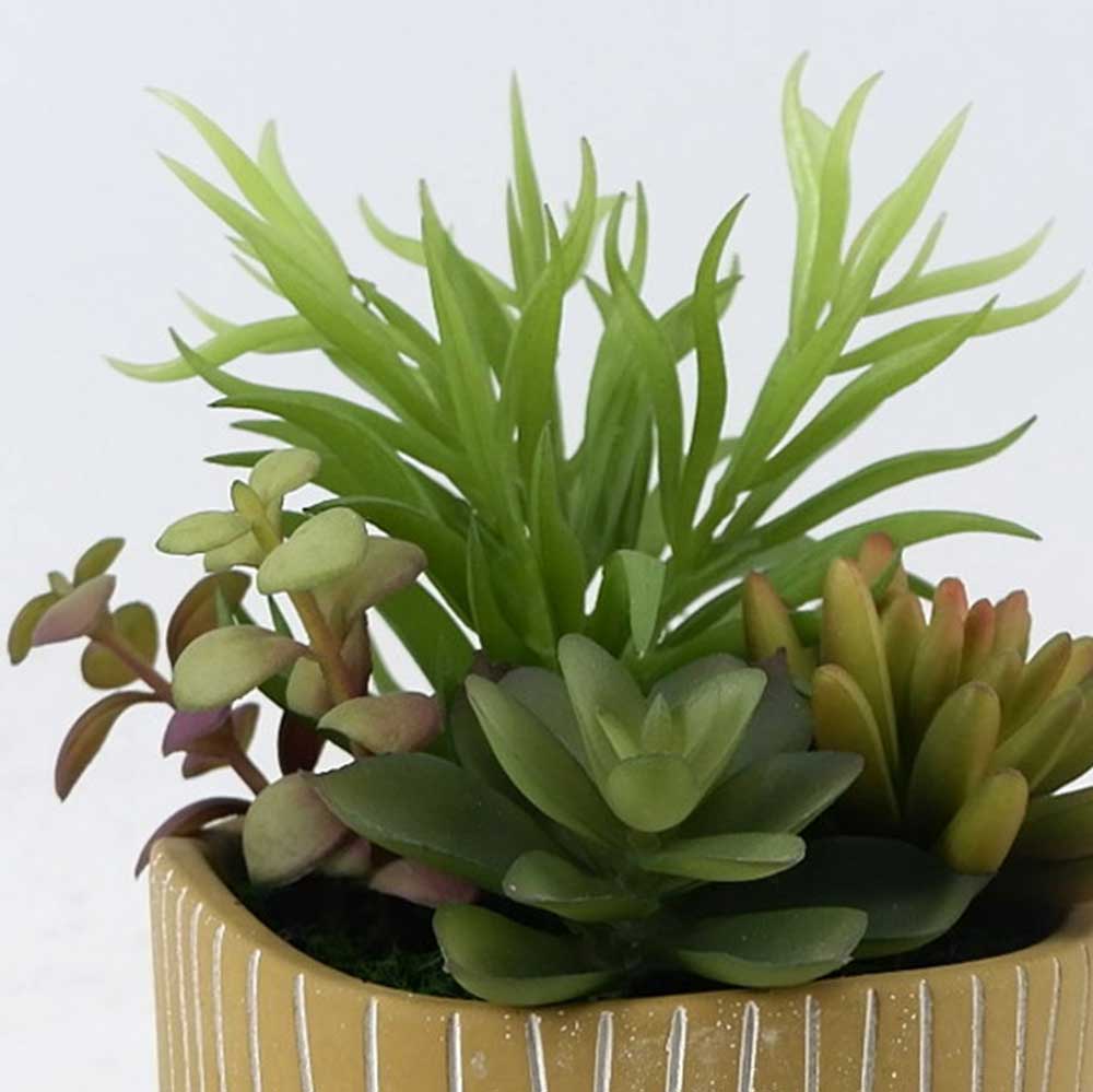 MC22-12800S 8＂H Mixed succulent