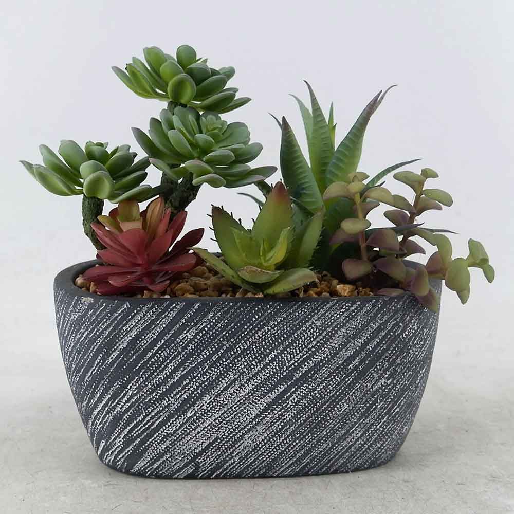 MC22-12804S 8.75＂H Mixed succulent