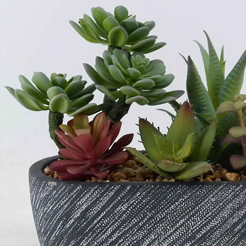 MC22-12804S 8.75＂H Mixed succulent