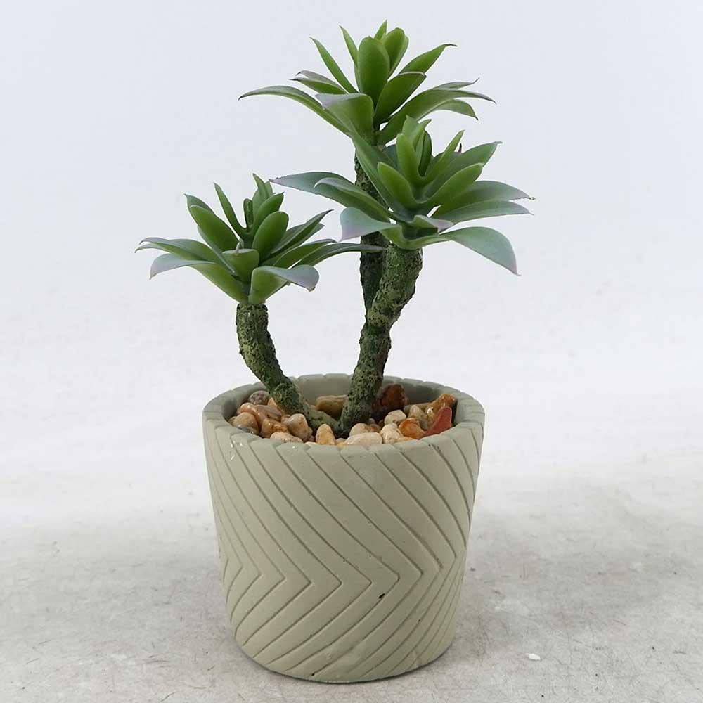 MC22-12805S 8.5＂H Mixed succulent