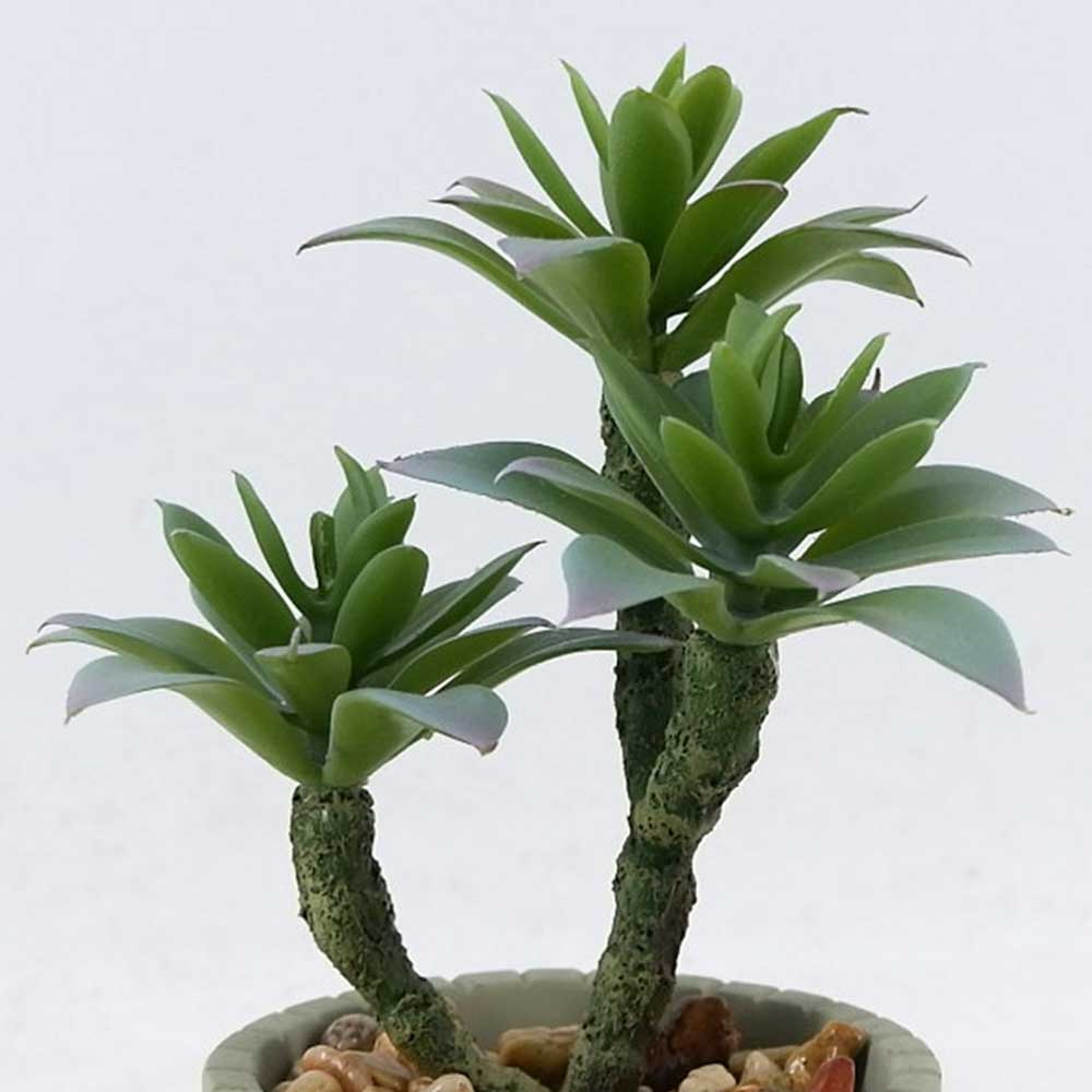 MC22-12805S 8.5＂H Mixed succulent