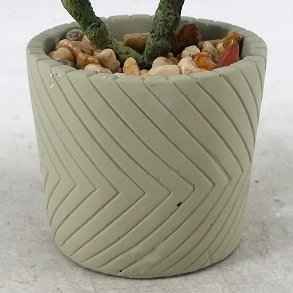 MC22-12805S 8.5＂H Mixed succulent