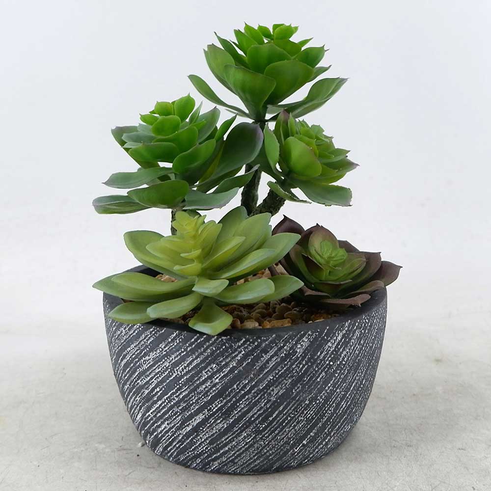 MC22-12808S 8.5＂H Mixed succulent