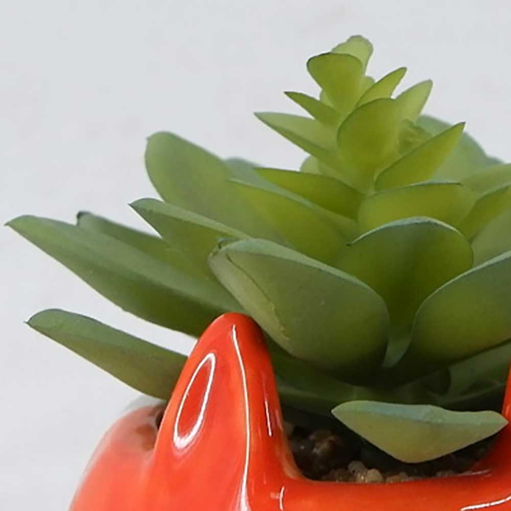 MC22-12809P 4.75＂H Succulent