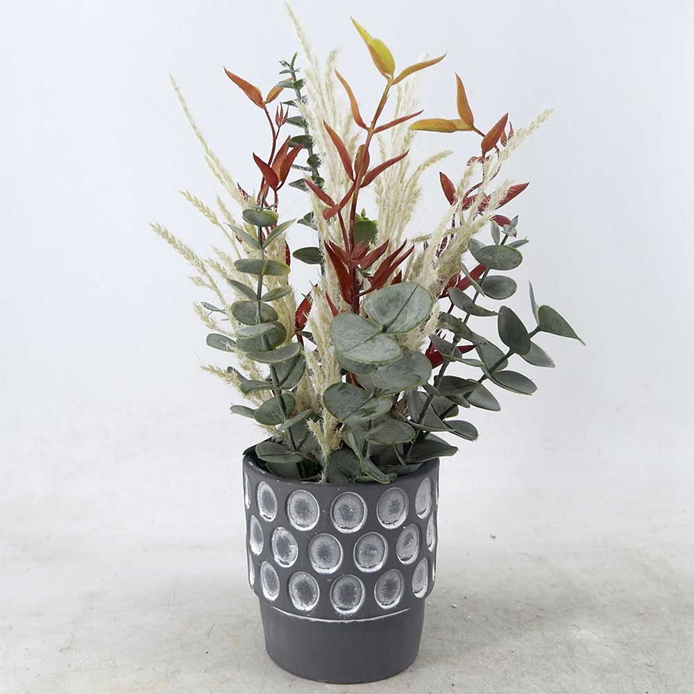 MC22-12826S Eucalyptus Potted