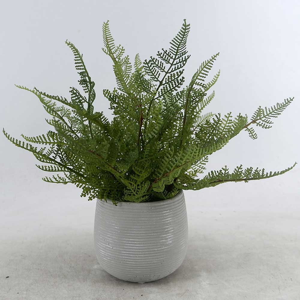 MC22-12894S 12＂H Fern