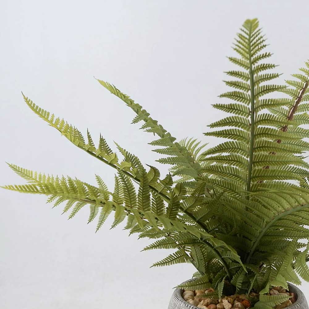 MC22-12901S 16＂H Fern