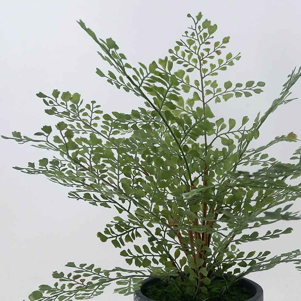 MC22-12921S 16＂H Fern