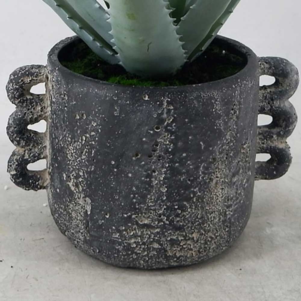 MC22-12878S 16＂H Aloes