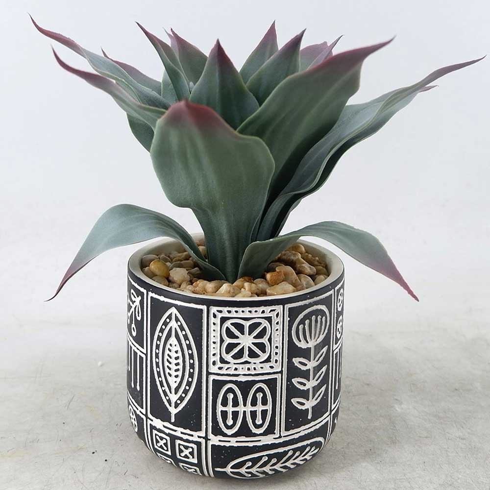 MC22-12876S 9.5＂H Aloes