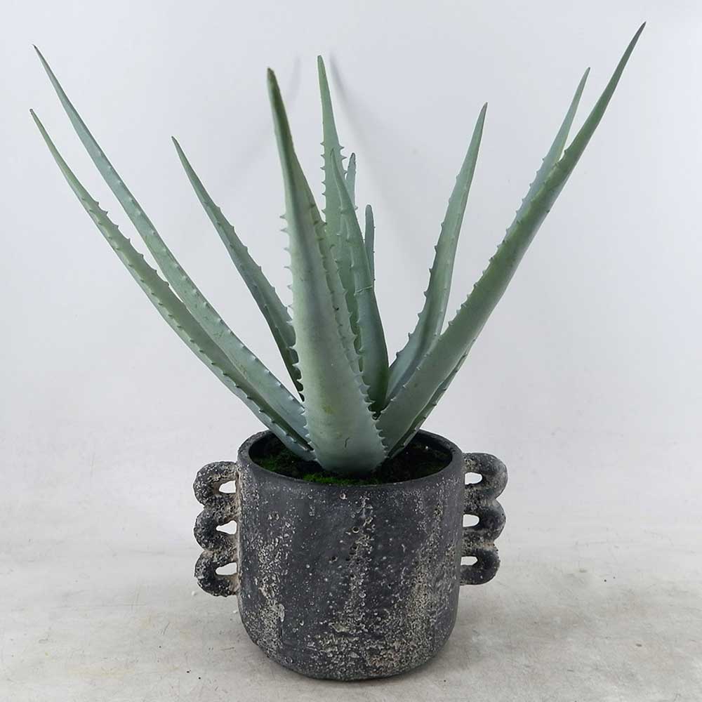 MC22-12878S 16＂H Aloes