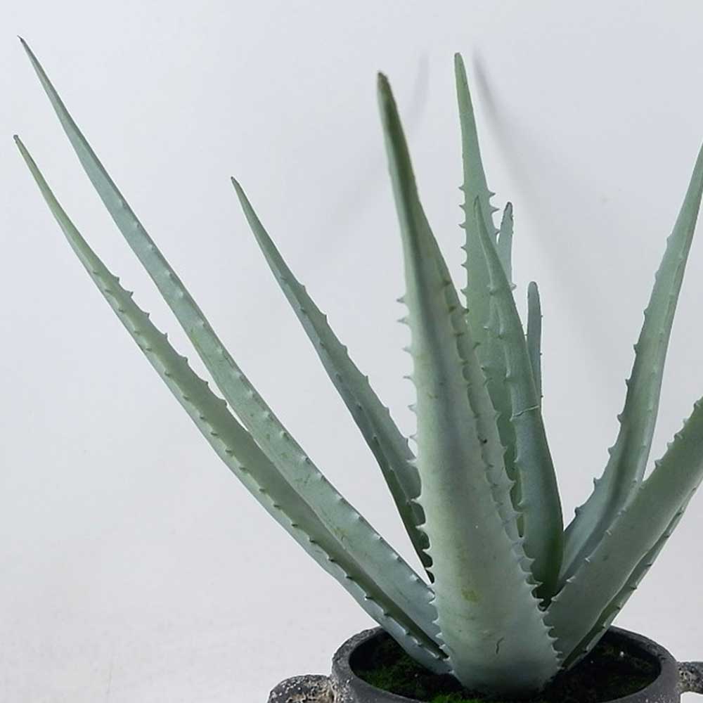 MC22-12878S 16＂H Aloes