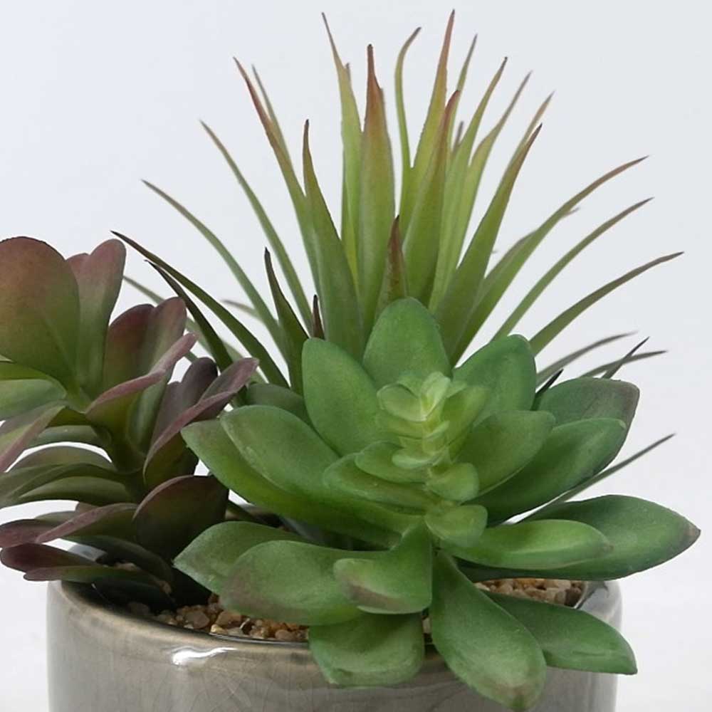 MC22-12888P 8.5＂H mix succulent 