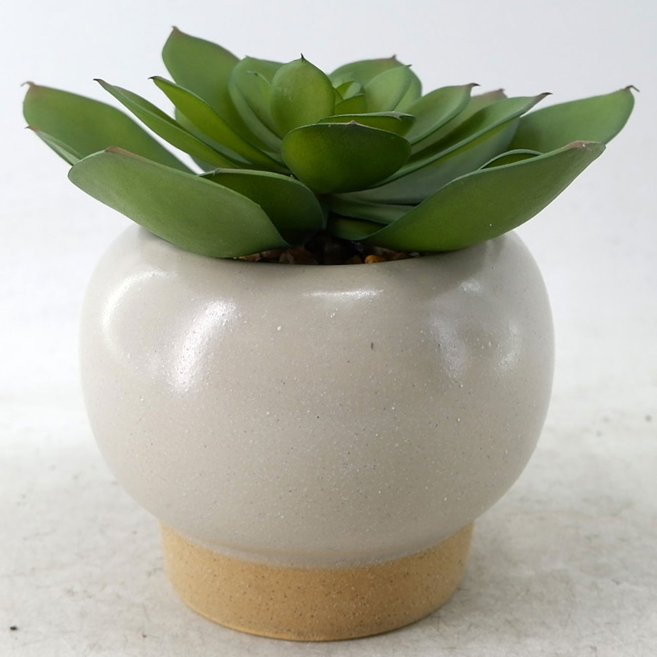 MC23-13458P Succulent H6.5＂