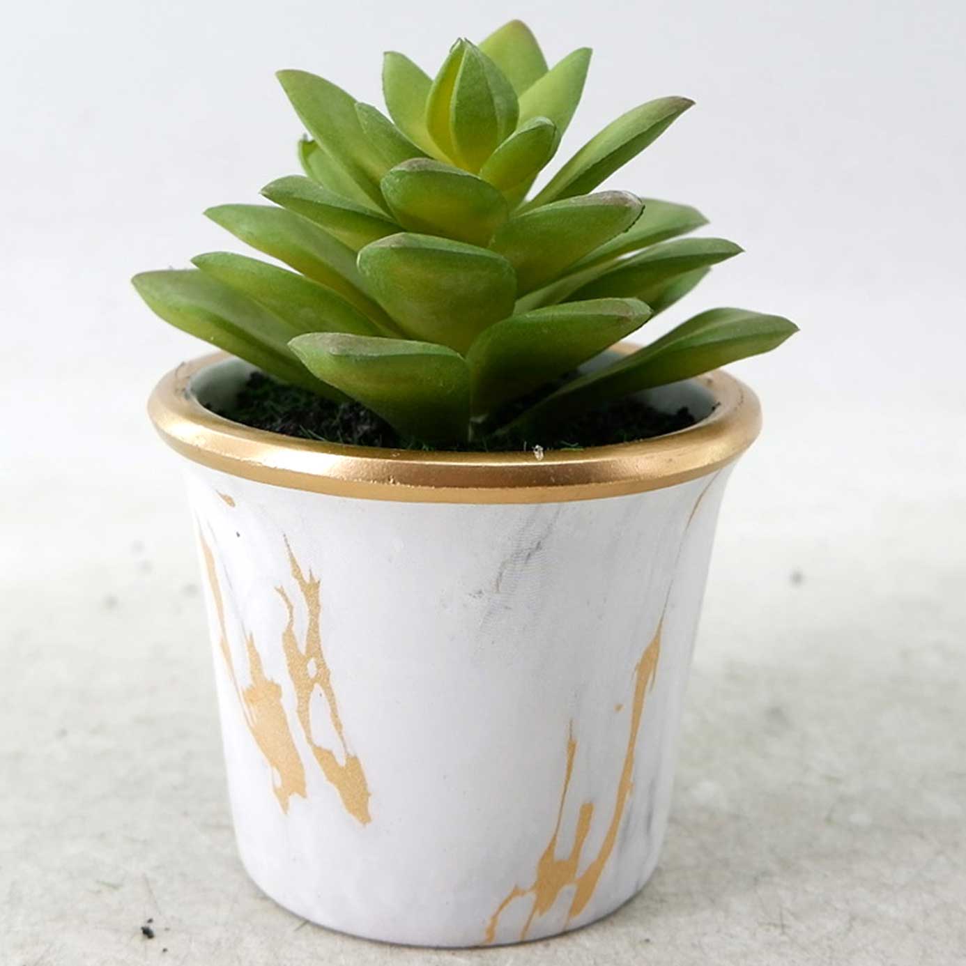 MC23-13455P Succulent H4.5＂