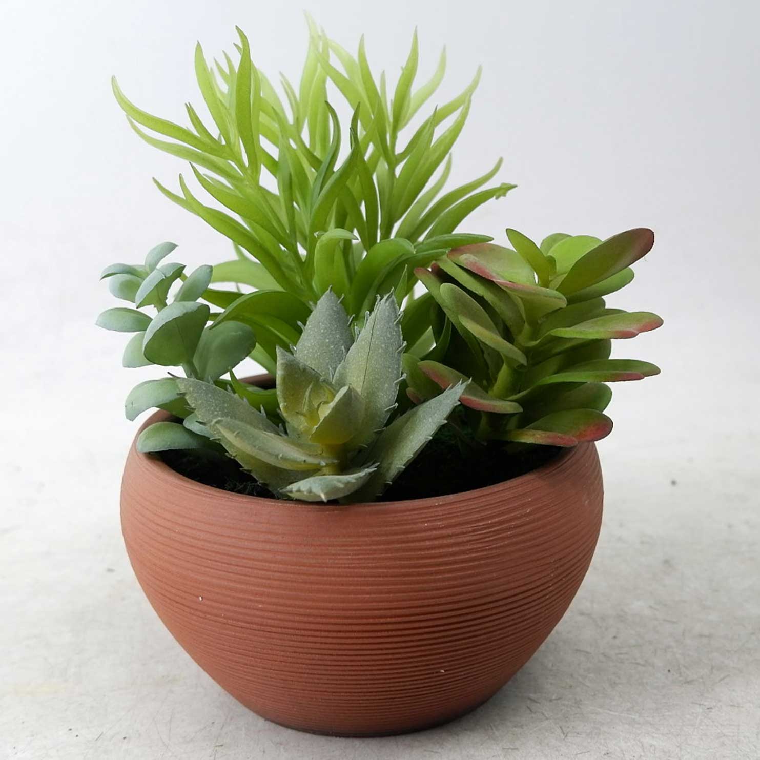 MC22-13411P Mixed succulent H7.5＂