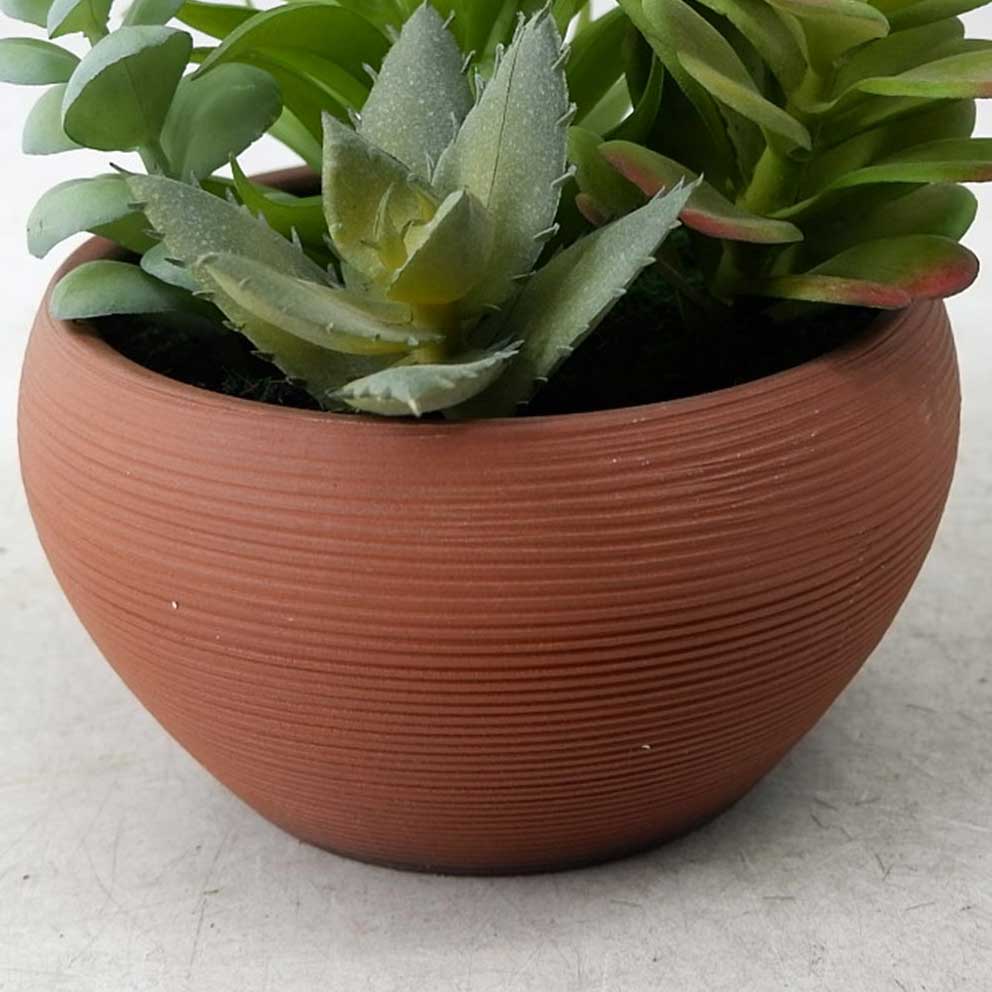 MC22-13411P Mixed succulent H7.5＂