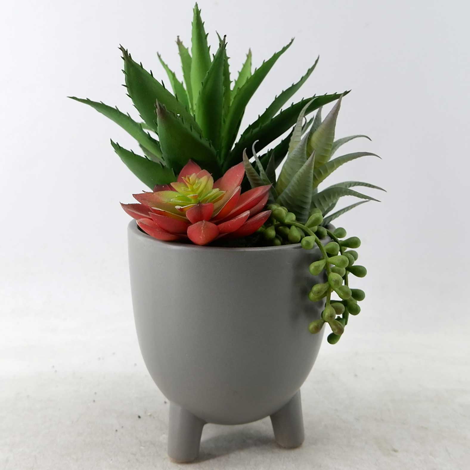 MC22-13408P Mixed succulent H12"