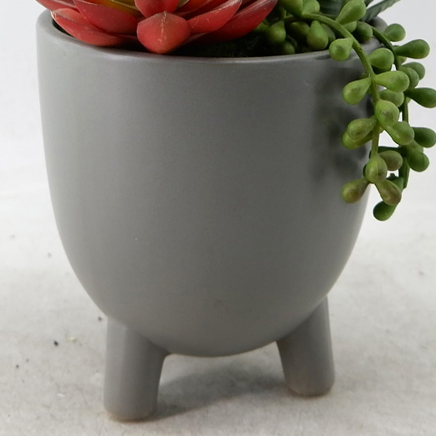 MC22-13408P Mixed succulent H12"