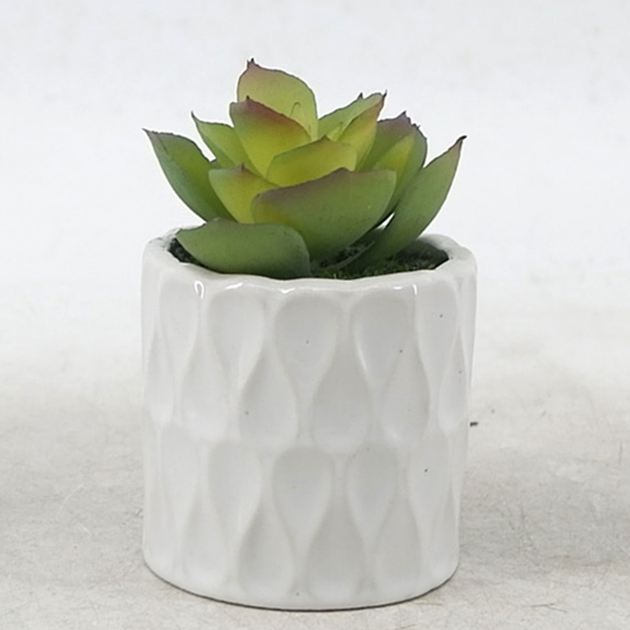 MC21-10918P Succulent H3.5＂